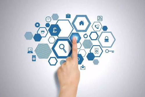 健康管理與咨詢 掌握科學方法，擁抱優質生活